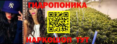 ECSTASY Краснознаменск